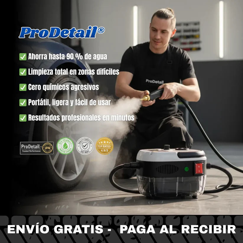 Limpiador A Vapor Presion 2500w Portatil